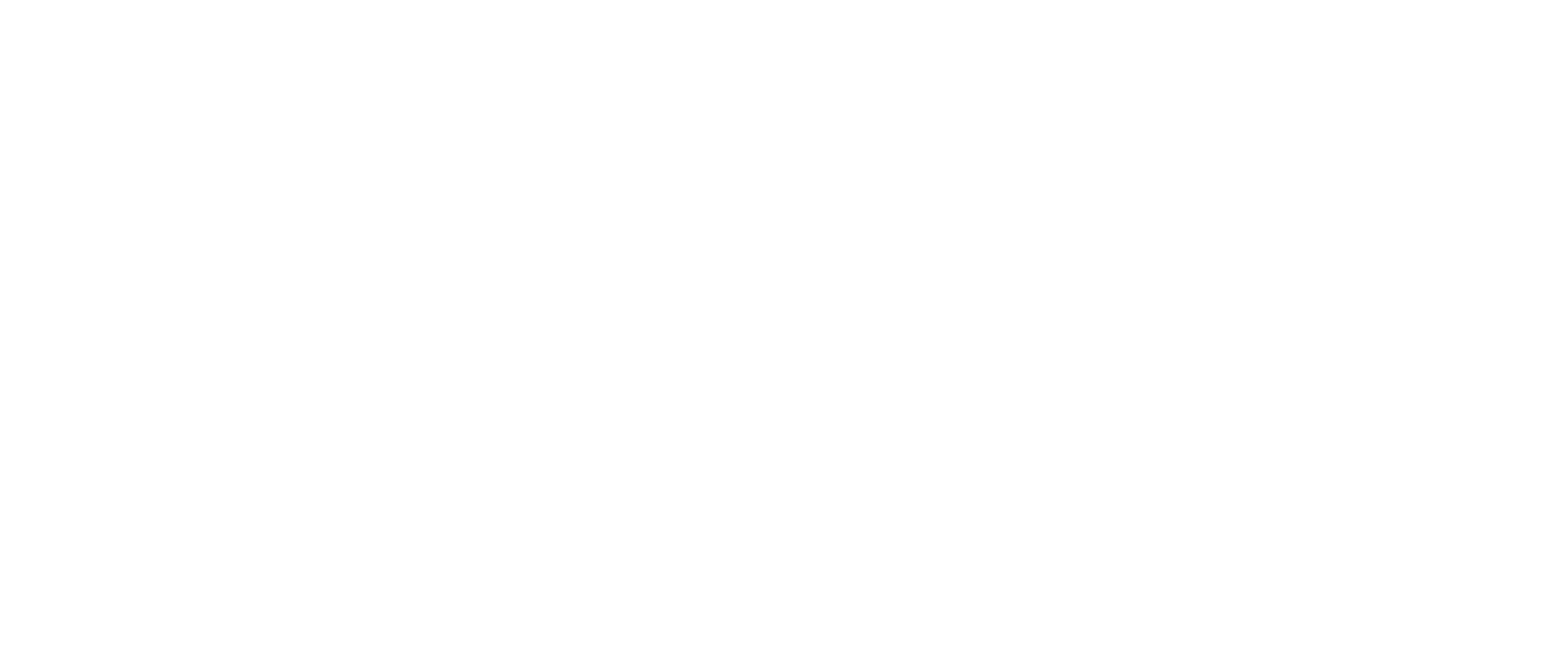 Logo de Sattlink